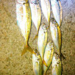 レガーメ　牙突